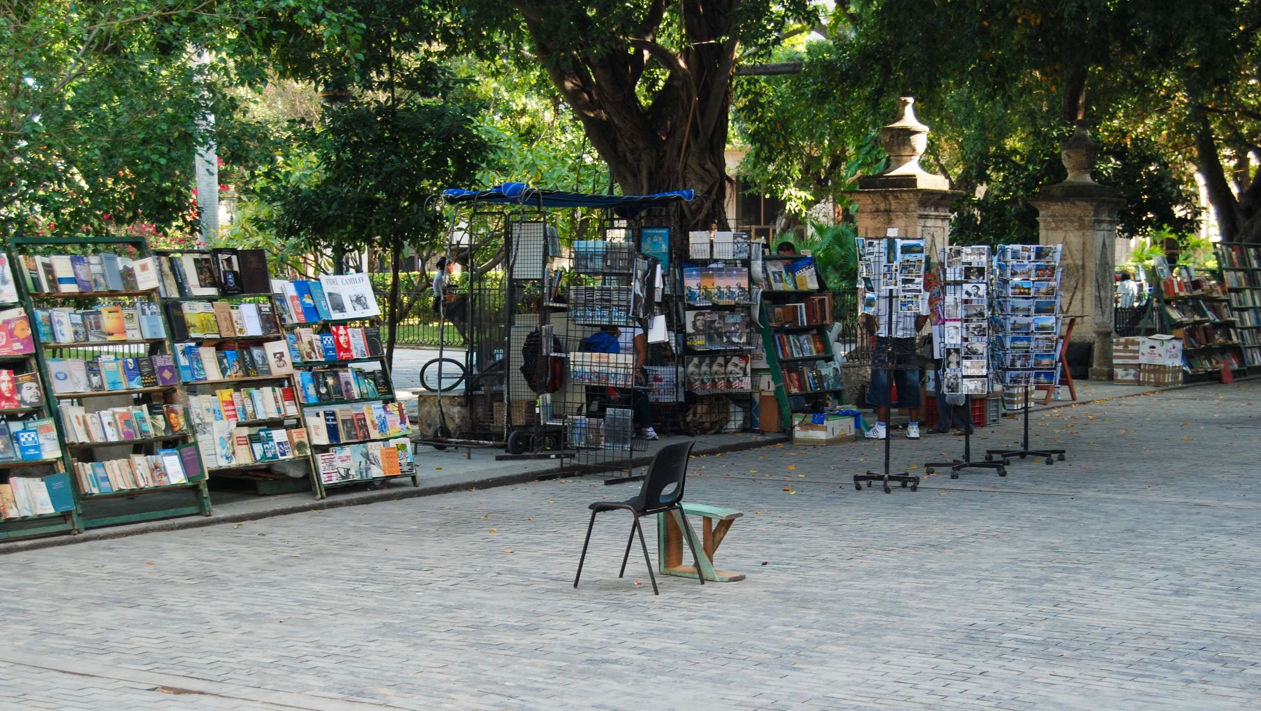 Books displayed in a bookstore