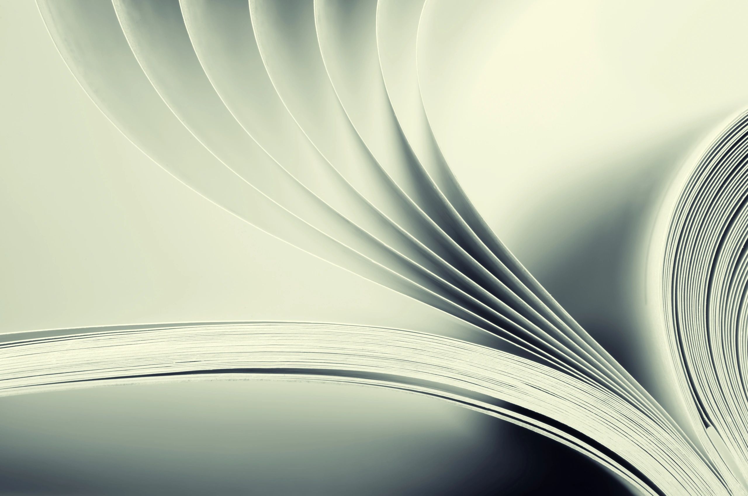 Close-up of book pages being flipped
