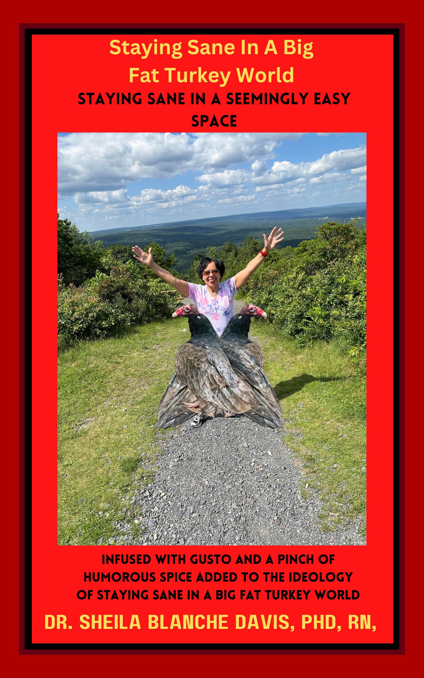 Book cover for Staying Sane In A Big Fat Turkey World eBook Download